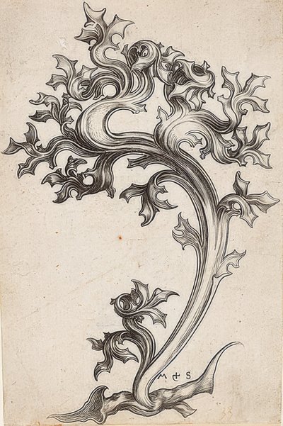 Bladornament van een distel door Martin Schongauer