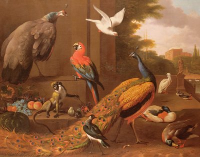 Vogels in een landschap door Melchior de Hondecoeter