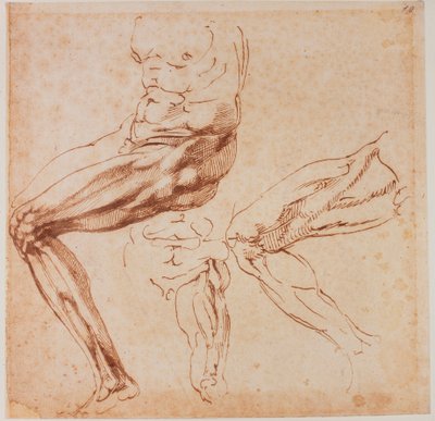 Beenstudies door Michelangelo Buonarroti