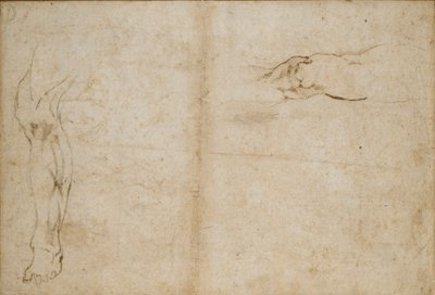 Verso: Studies van een mannenbeen door Michelangelo Buonarroti