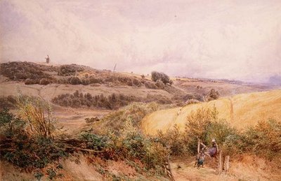 Zomerlandschap bij Haslemere, Surrey door Myles Birket Foster