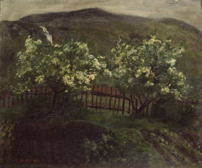 Lente regen en kers door Nikolai Astrup