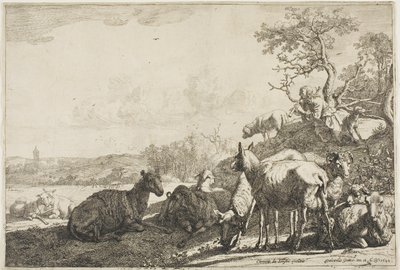 De herder door Paulus Potter