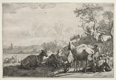 De herder door Paulus Potter