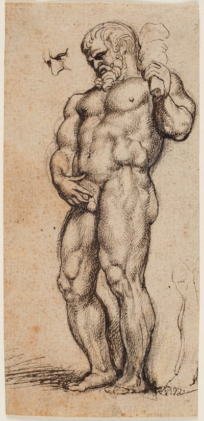 Hercules door Peter Paul Rubens