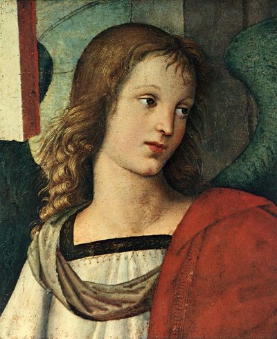 Hoofd van een engel door Raffaello Sanzio Raphael