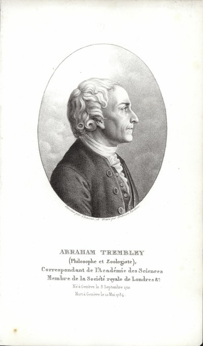 Abraham Trembley door Swiss School