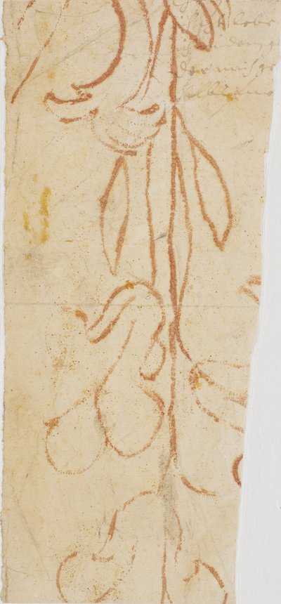 Plantenornament (fragment) door Ubekendt KKSgb7383