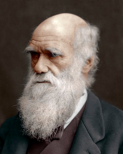 Charles Darwin, Britse natuuronderzoeker, 1878 door Unbekannt