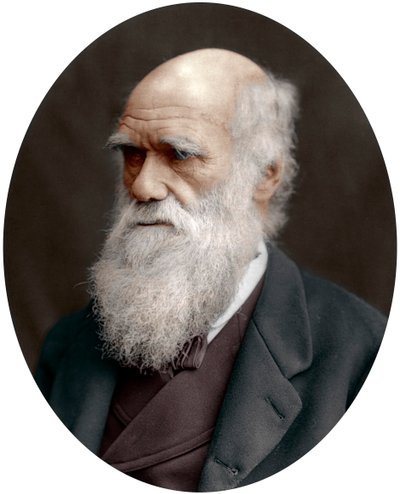 Charles Darwin, Britse natuuronderzoeker, 1878 door Unbekannt