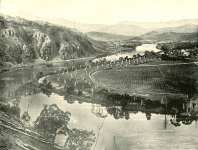 Hopvelden in Tasmanië, 1901 door Unbekannt