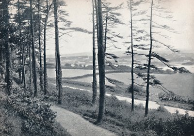 Menai - Vanuit Bangor Wood, 1895 door Unbekannt