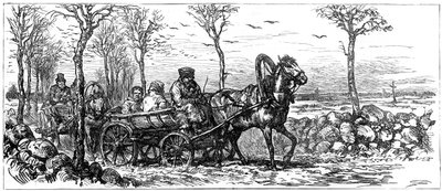 Op een weg nabij Sint-Petersburg, Rusland, 1882 door Unbekannt