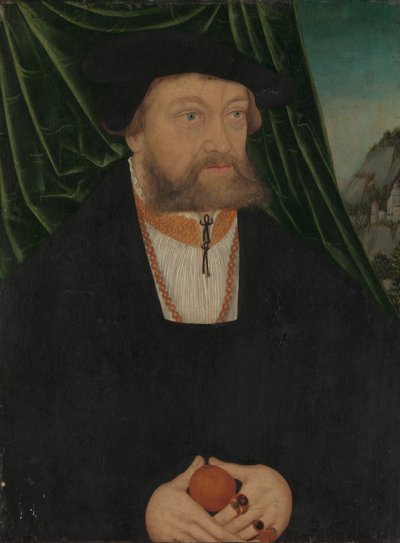 Portret van een man, 1537 door Unbekannt