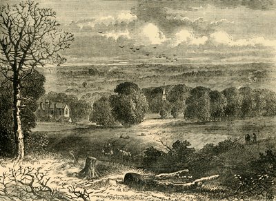 Locatie van het Crystal Palace in 1852, ca. 1878 door Unbekannt