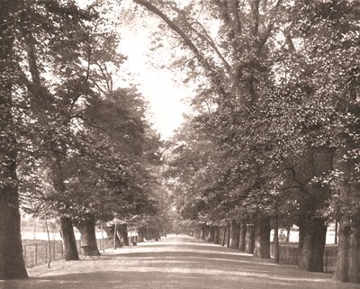 De brede wandeling, Oxford, 1894 door Unbekannt