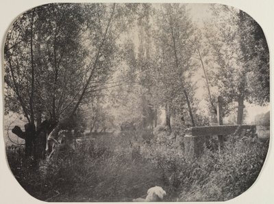 Naamloos landschap met hond, c. 1910 door Unbekannt