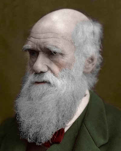 Portret van Charles Darwin door Unknown artist