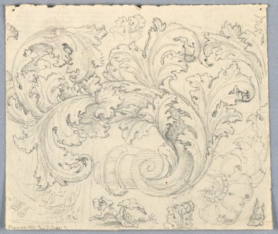 Studie voor krullend acanthus ornament door Unknown artist