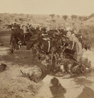 Artilleriepaarden water geven, Welgelegen, Zuid-Afrika door Unknown photographer