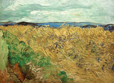 Veld met korenbloemen door Vincent van Gogh