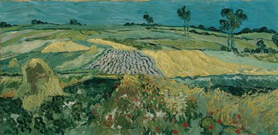 De vlakte van Auvers, 1890 door Vincent van Gogh