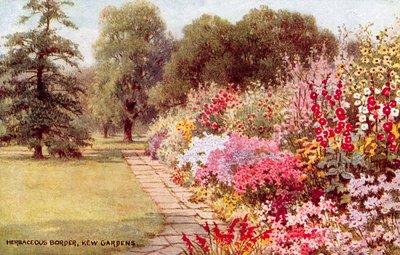 Kruidachtige Border, Kew Gardens door William Affleck Carruthers