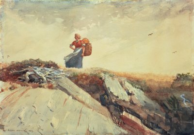 Van de klif af door Winslow Homer