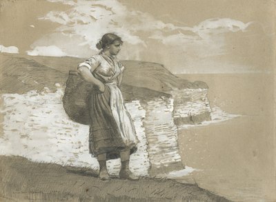 Flamborough Head, Engeland, 1882 door Winslow Homer