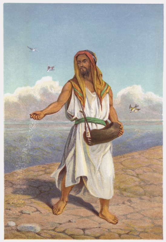 Parabels van Jezus Christus: De Zaaier door English School