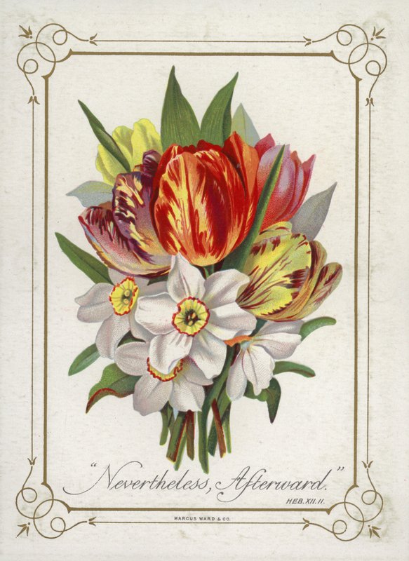 Boeket bloemen door English School