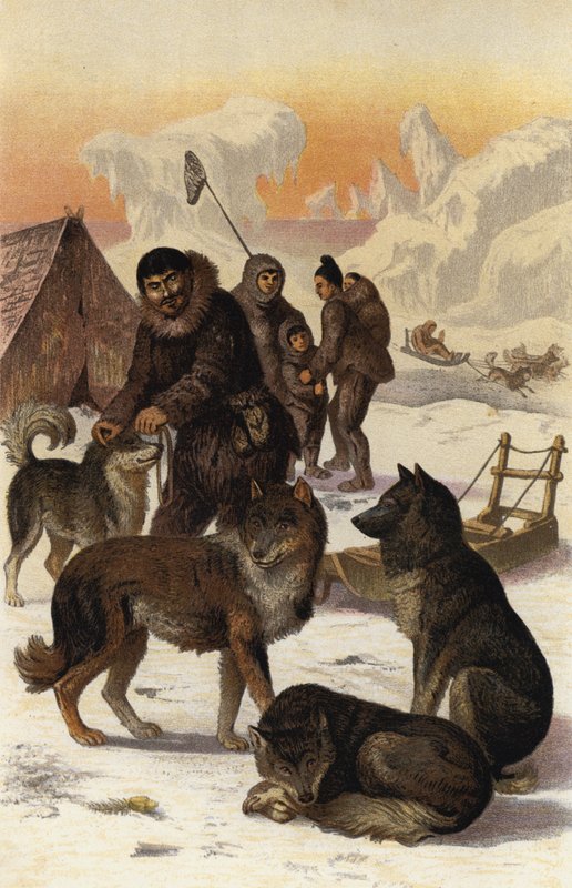 Eskimohond door European School