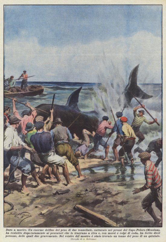 Moeilijk te doden door Achille Beltrame