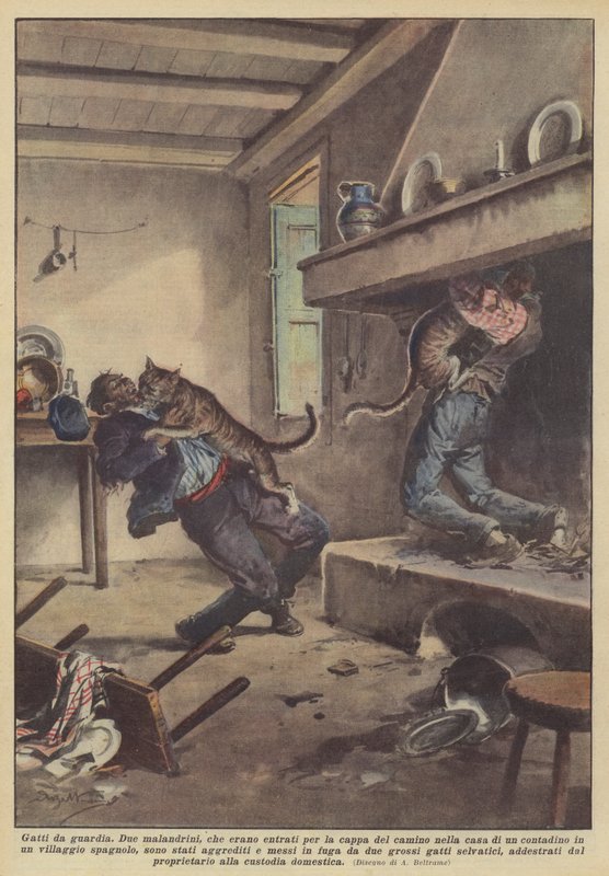 Waakzame katten door Achille Beltrame