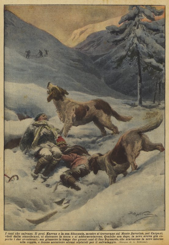 De honden die redden door Achille Beltrame