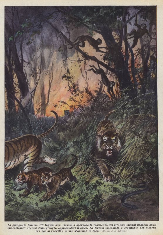 De brandende jungle door Achille Beltrame