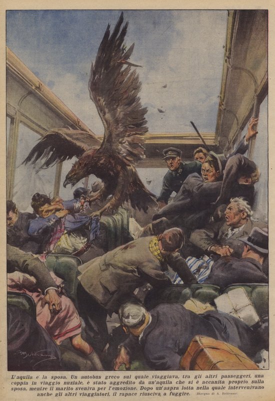 De adelaar en de bruid door Achille Beltrame