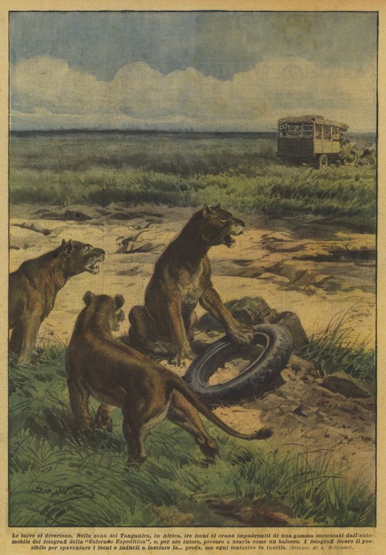 De wilde dieren vermaken zich door Achille Beltrame