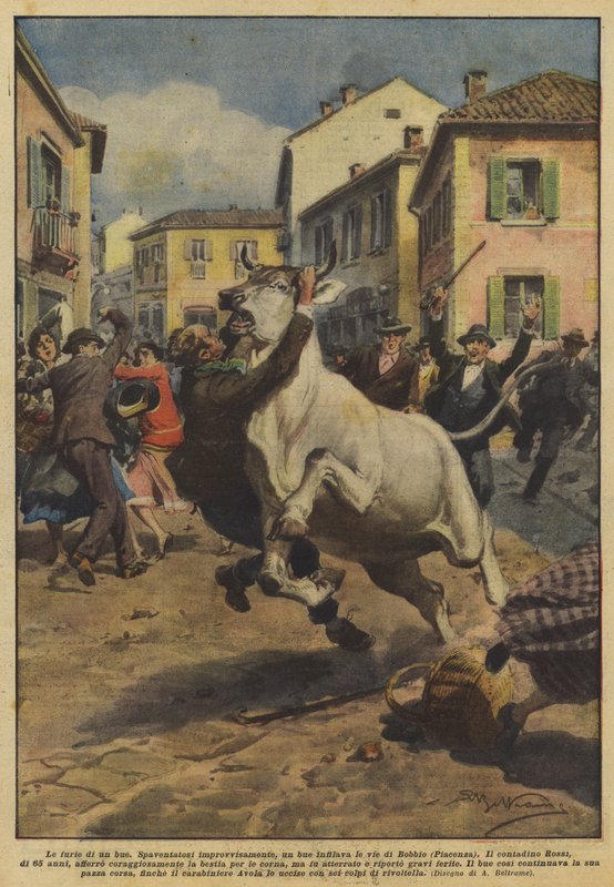 De woede van een os door Achille Beltrame