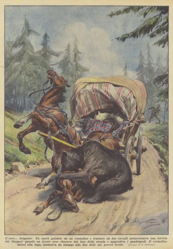 De bandiet beer door Achille Beltrame