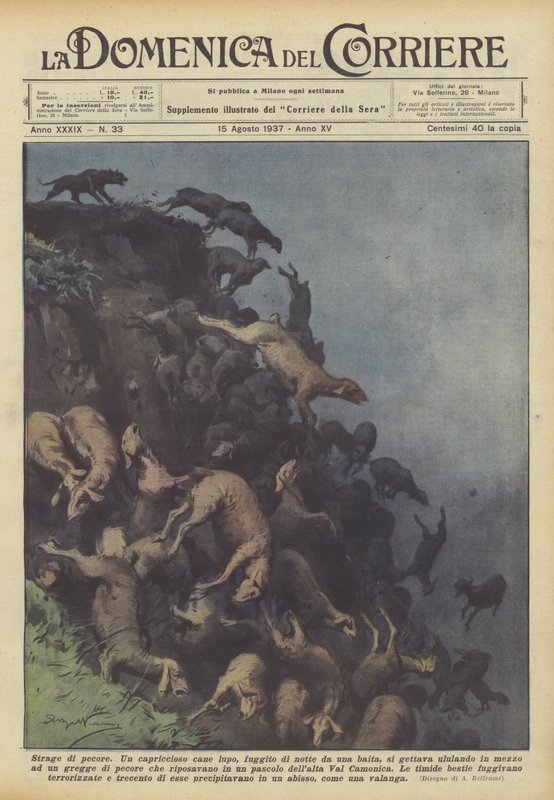Slachting van schapen door Achille Beltrame