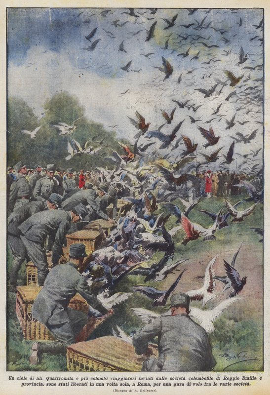 Een hemel vol vleugels door Achille Beltrame