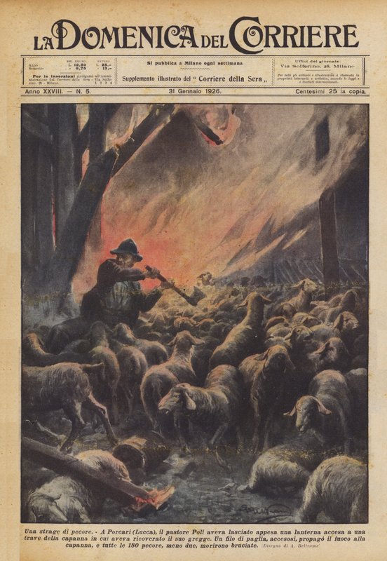 Een slachting van schapen door Achille Beltrame