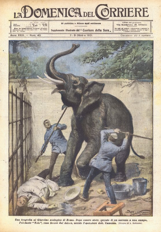 Een tragedie in de dierentuin van Rome door Achille Beltrame