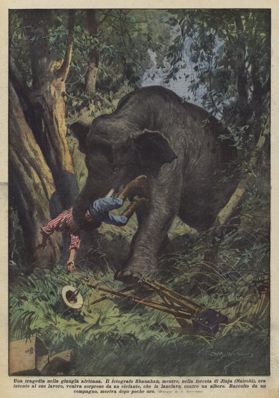 Een tragedie in de Afrikaanse jungle door Achille Beltrame