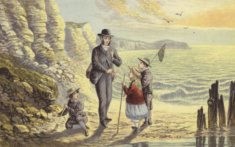 Aan de kust door Alexander Francis Lydon