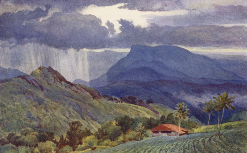 Een Tropische Regenbui door Alexander Henry Hallam Murray