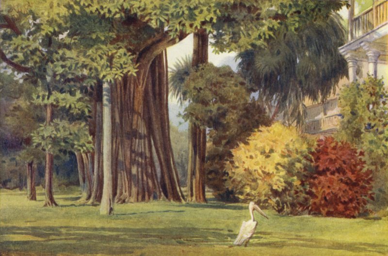Het Koningshuis, Colombo door Alexander Henry Hallam Murray