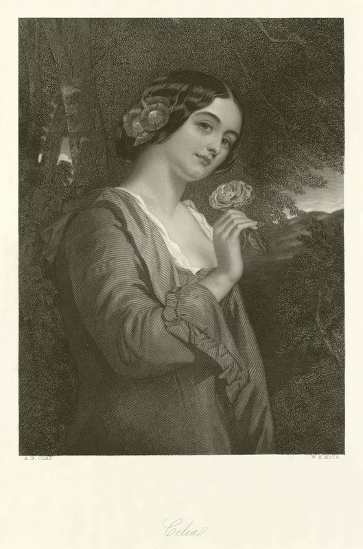 Celia door Alfred Barron Clay