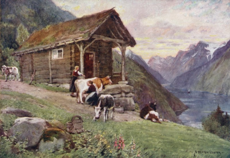 Een Noorse fjord door Alfred Heaton Cooper